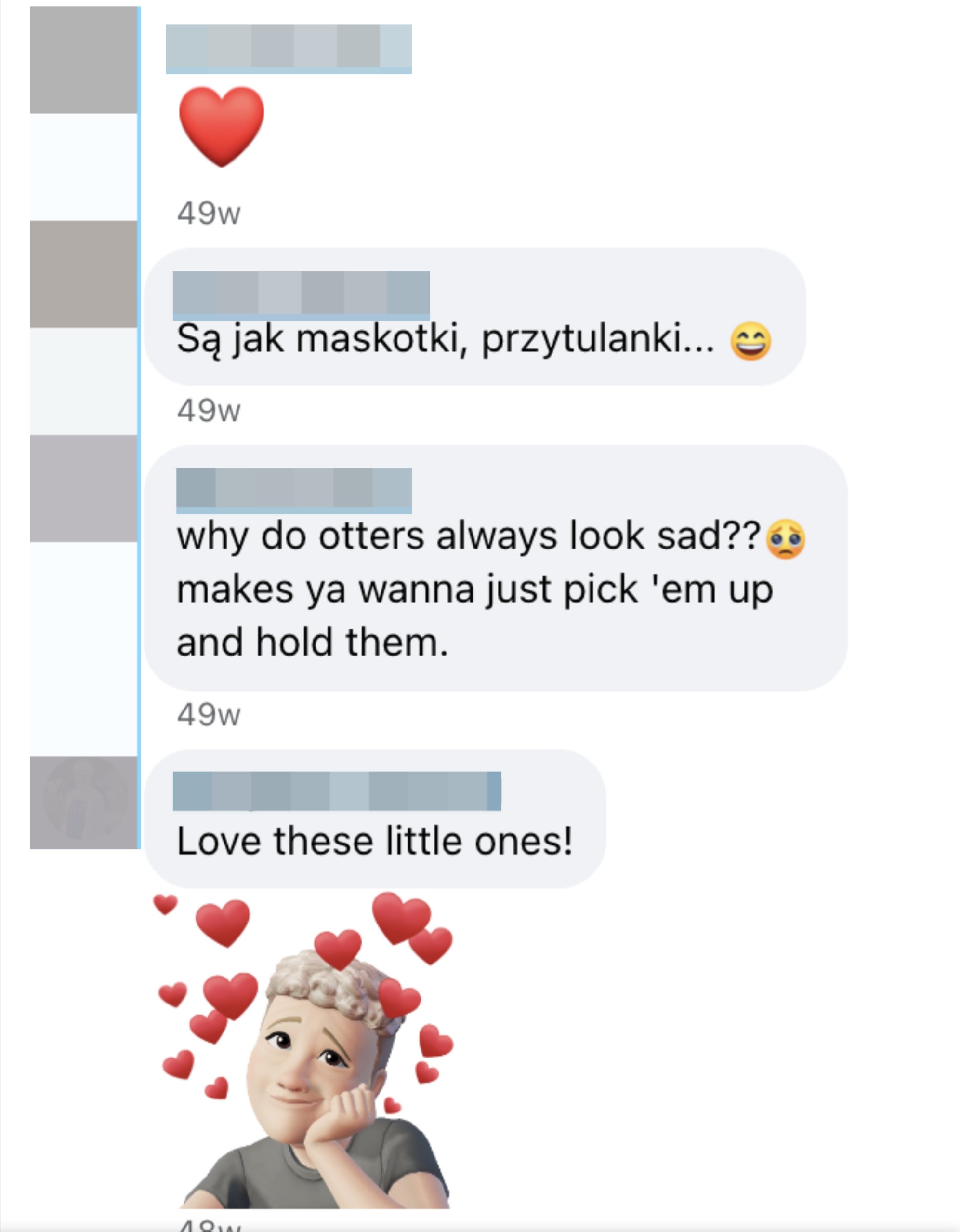 Social media comments about otters being cute and cuddly, with emoji reactions of love and affection