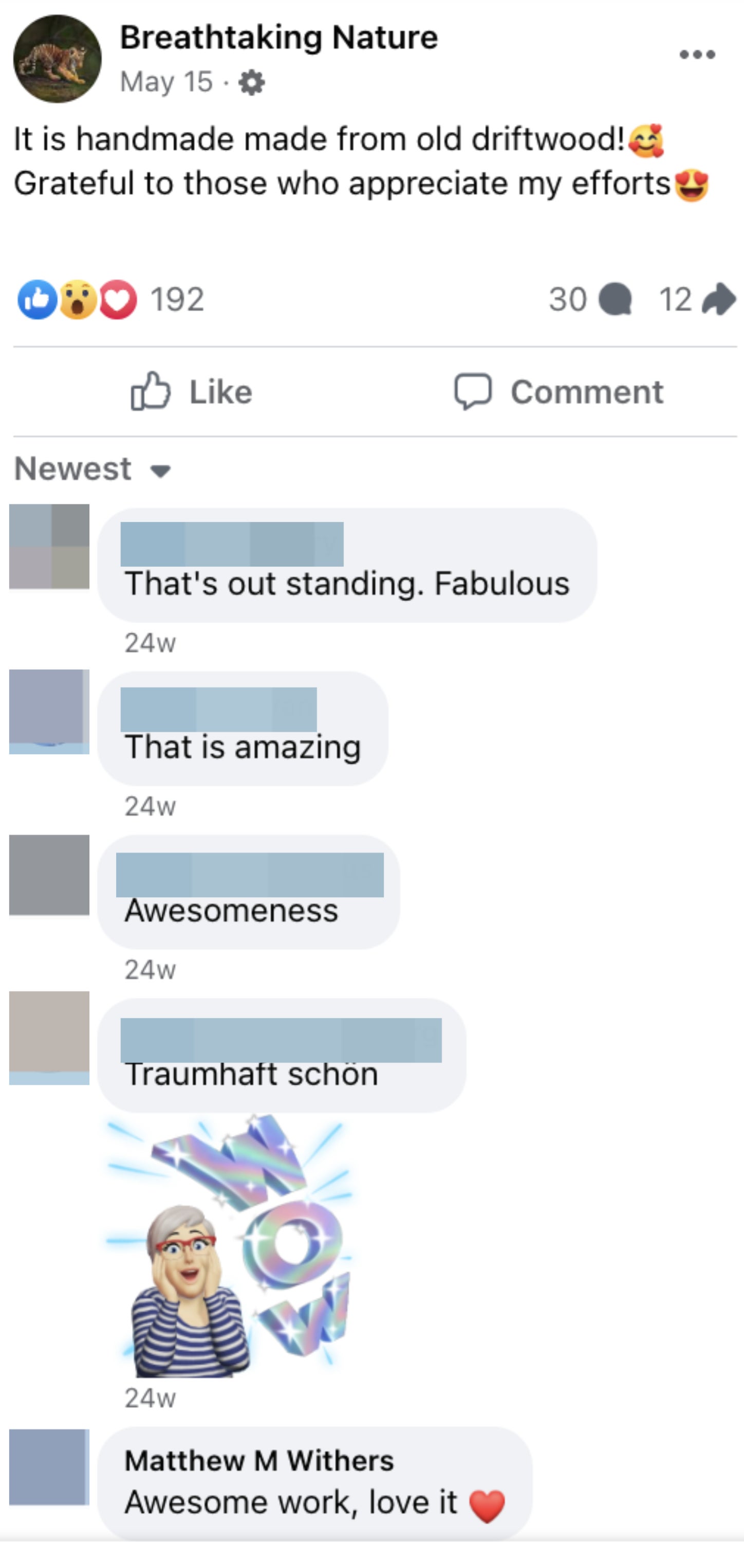 Facebook post showcasing a handmade craft from driftwood with comments praising its awesomeness and creativity