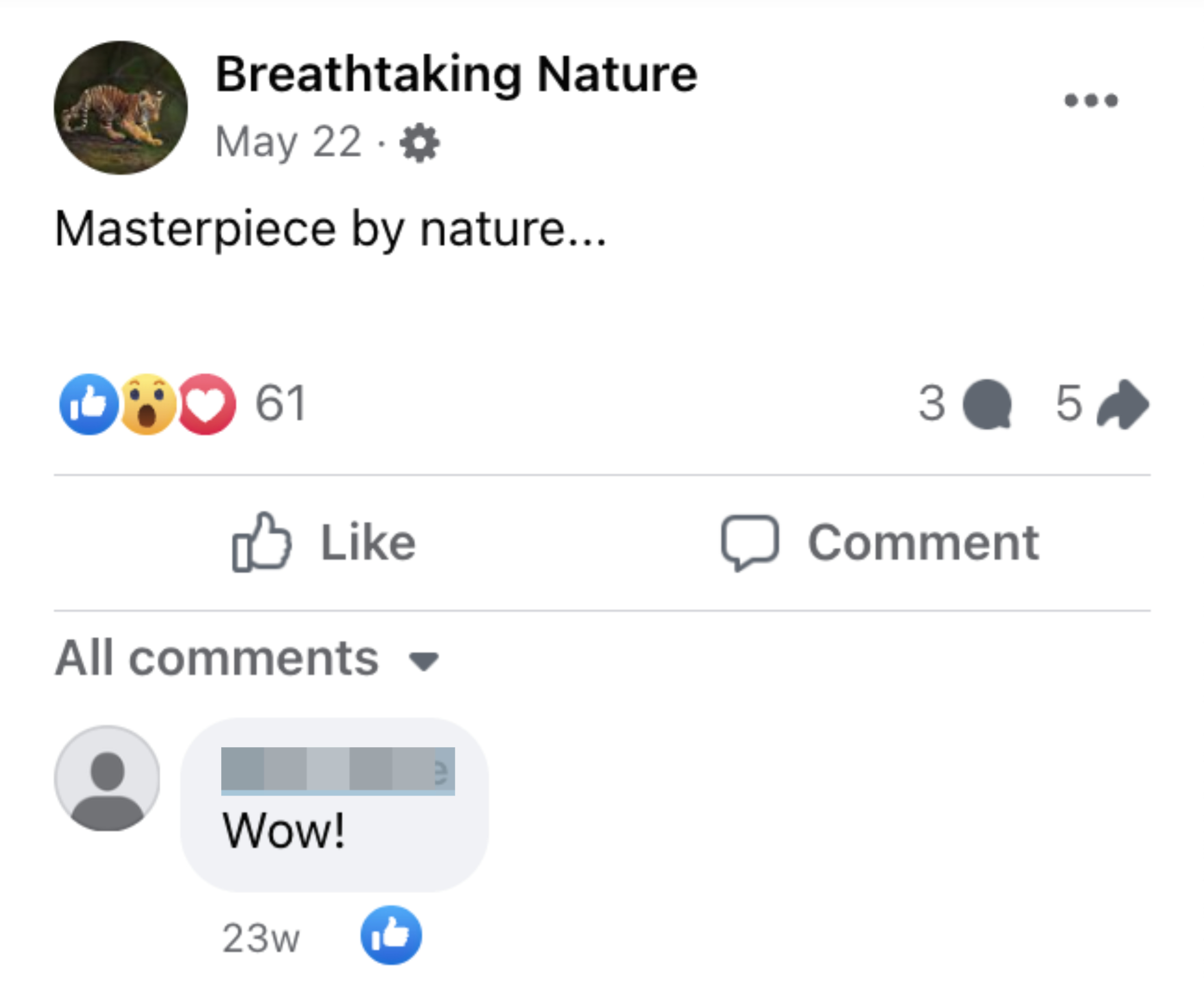 Facebook post by "Breathtaking Nature" with a comment saying "Wow!"