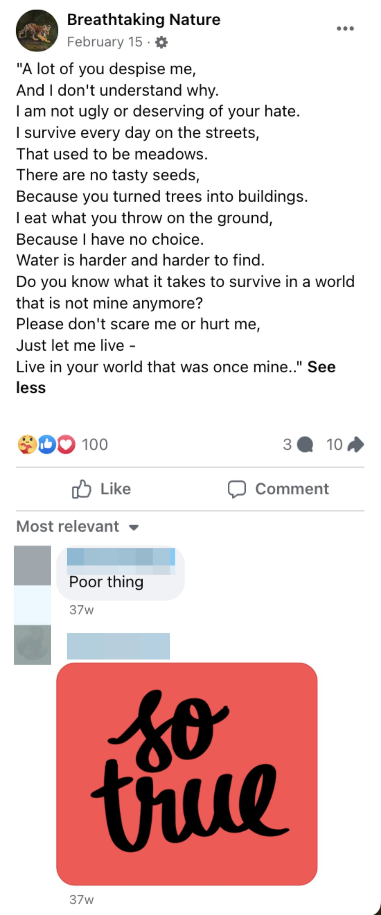A Facebook post quotes a poem about urbanization and loss of nature. It has reactions and comments agreeing with the sentiment including a "So True" GIF