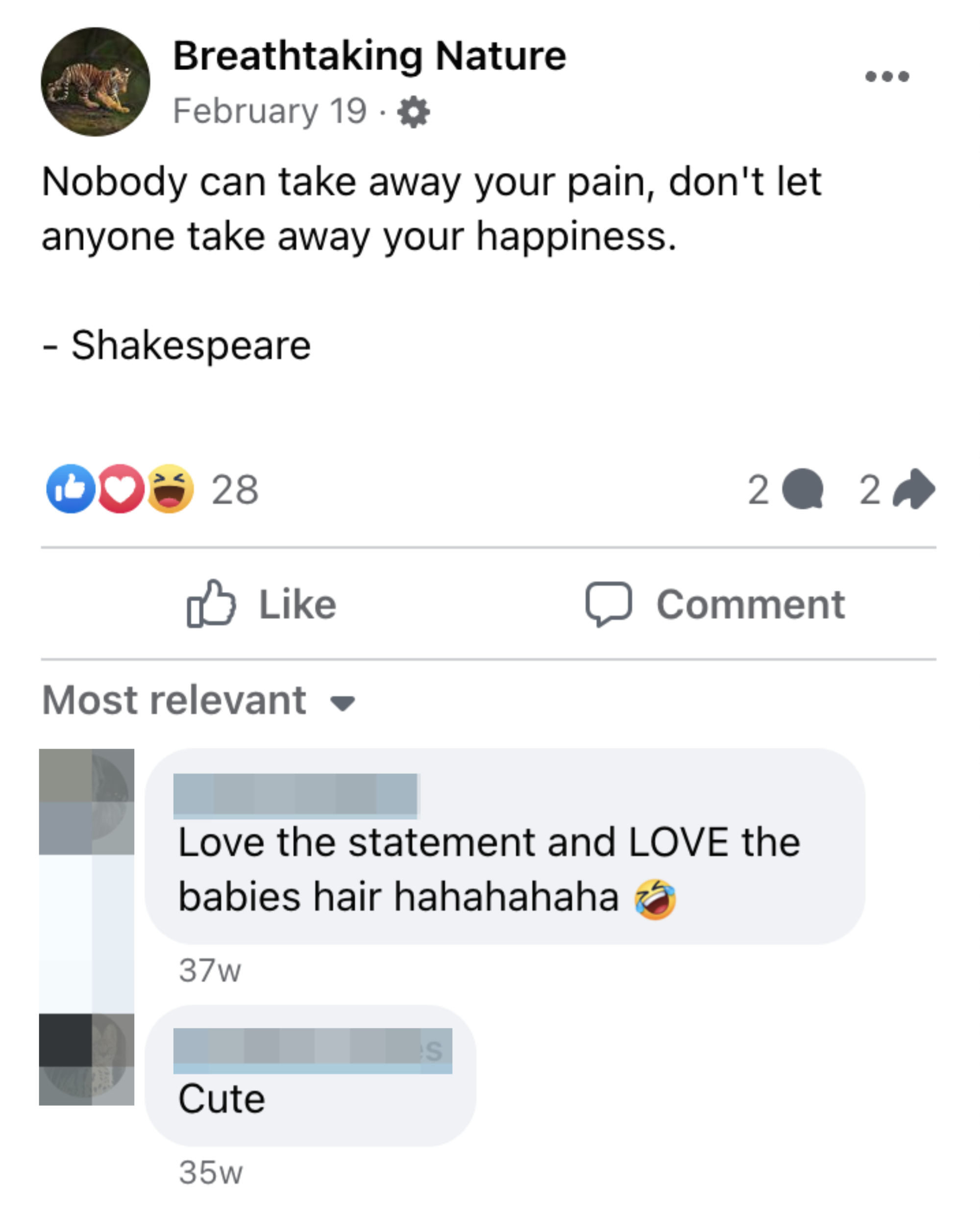 Facebook post by Breathtaking Nature with a misattributed Shakespeare quote: "Nobody can take away your pain, don't let anyone take away your happiness." Comments below express enjoyment of the post