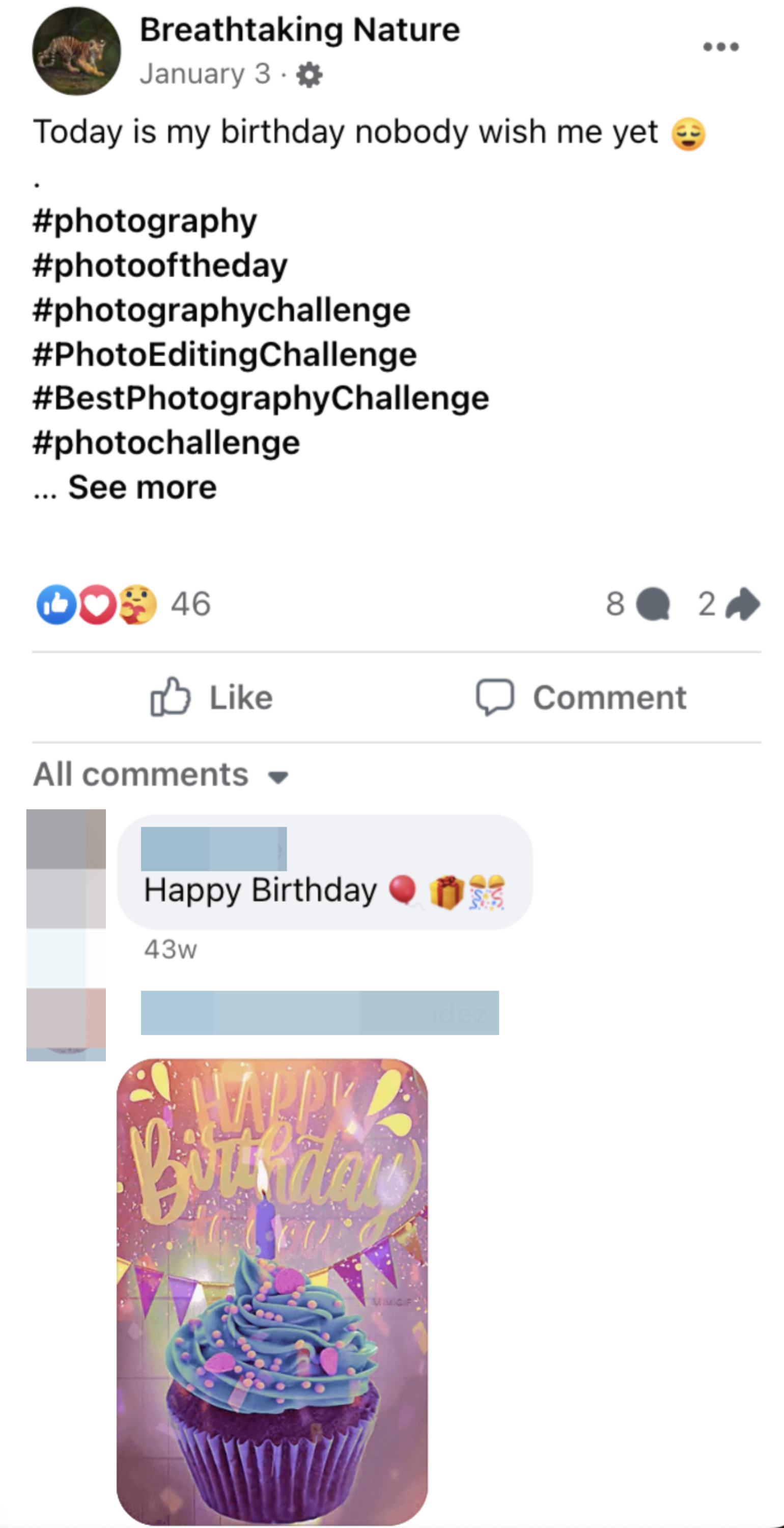 Social media post says no one has wished a dog happy birthday; one comment says, "Happy Birthday," with a cupcake image