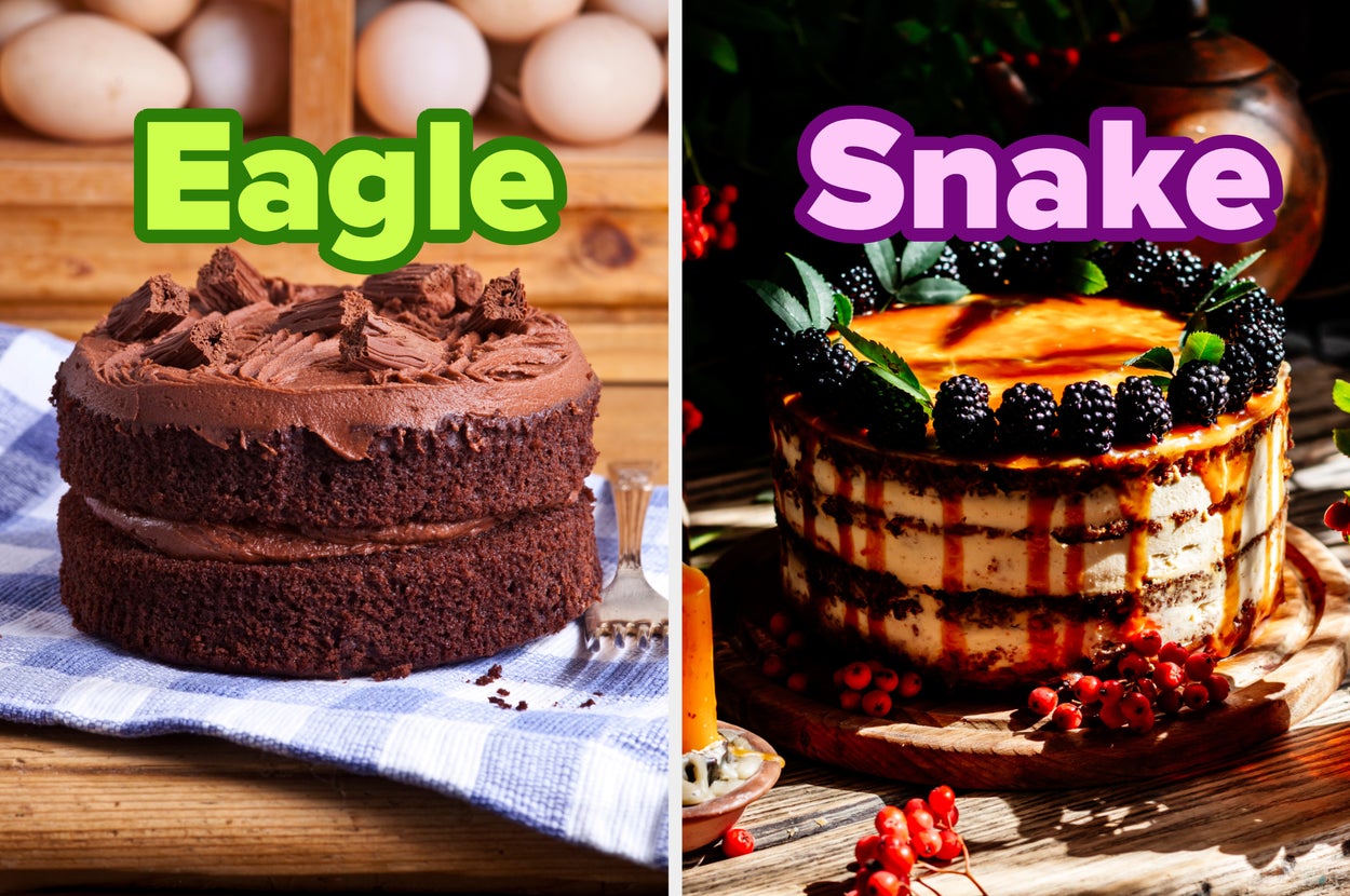 Two cakes labeled "Eagle" and "Snake." The Eagle cake is chocolate with frosting, and the Snake cake is decorated with blackberries and orange glaze