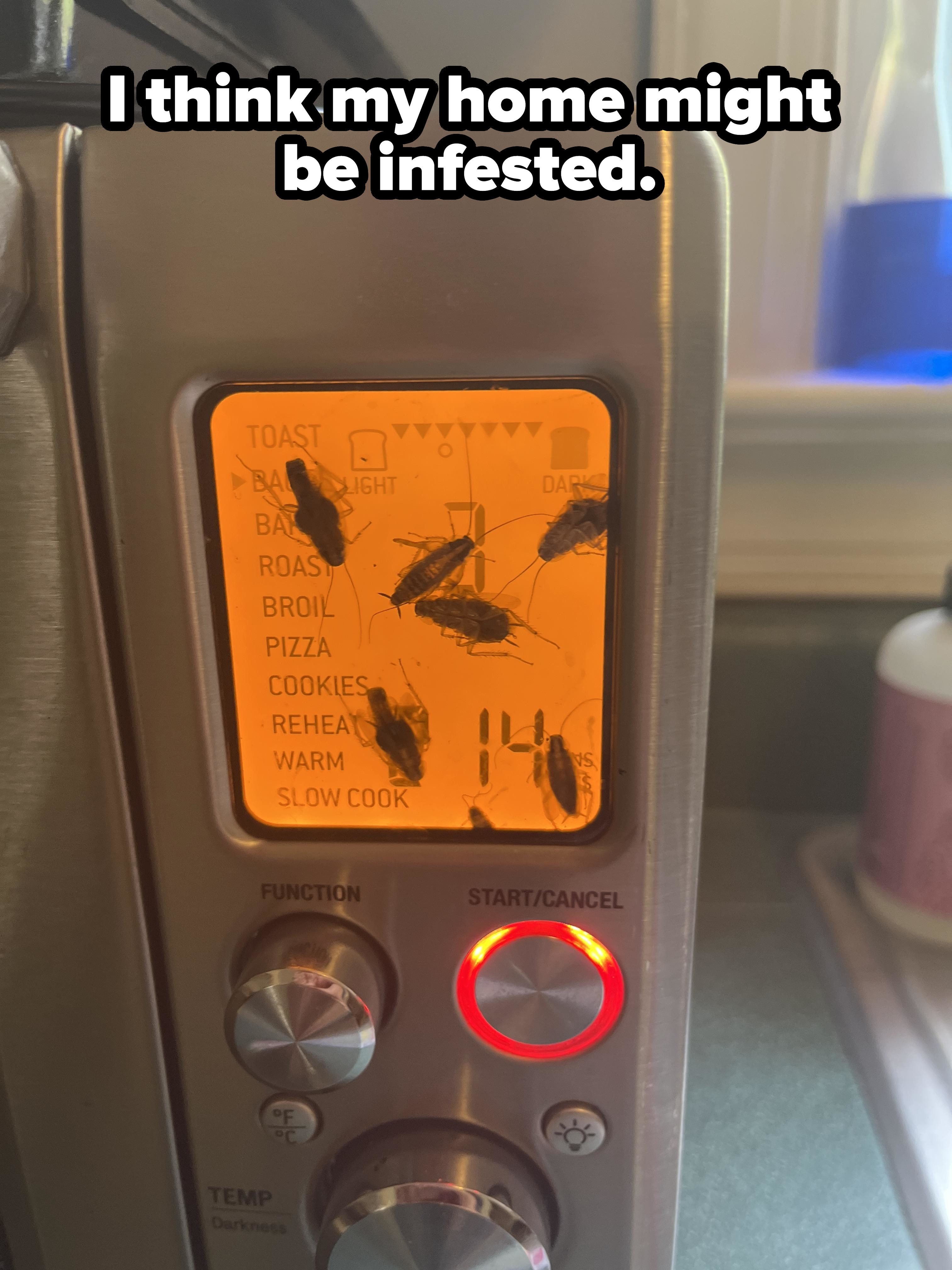 Microwave oven display with insects crawling on it, obstructing the settings view