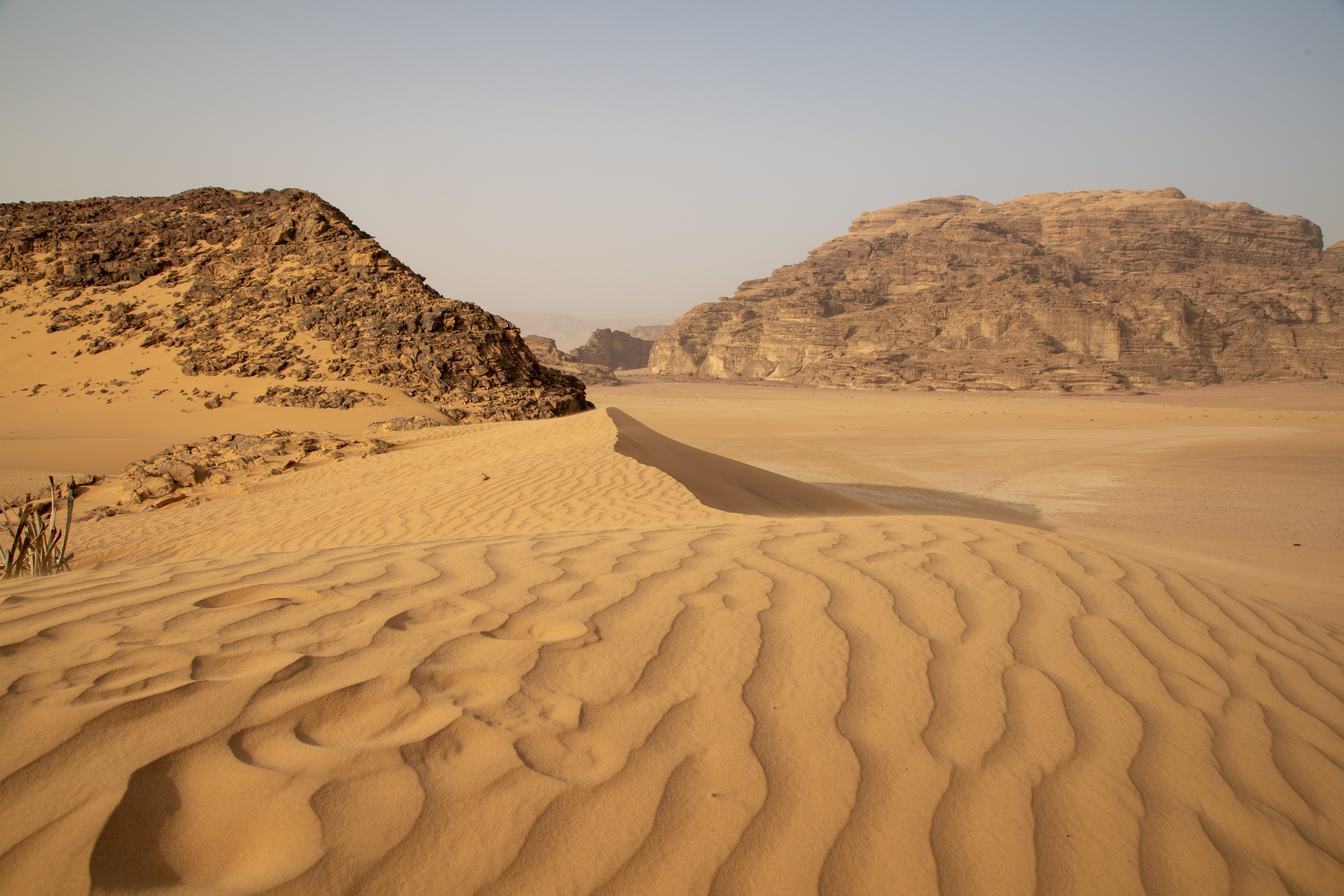 Desert landscape with sand dunes in the foreground and rocky hills in the distance under a clear sky