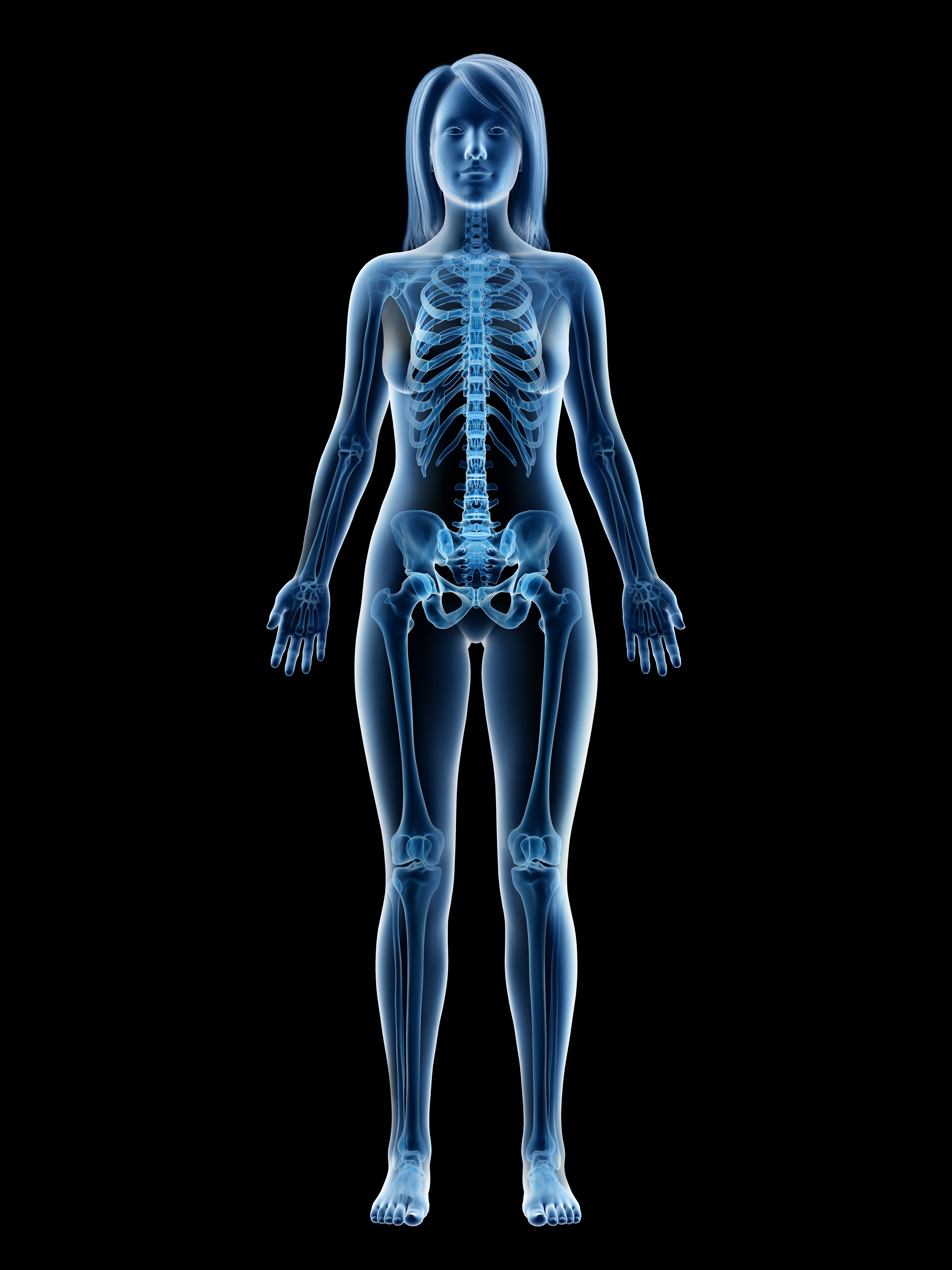 Illustration of a woman's skeletal system in a standing position, highlighting the spine, ribs, pelvis, and other bones