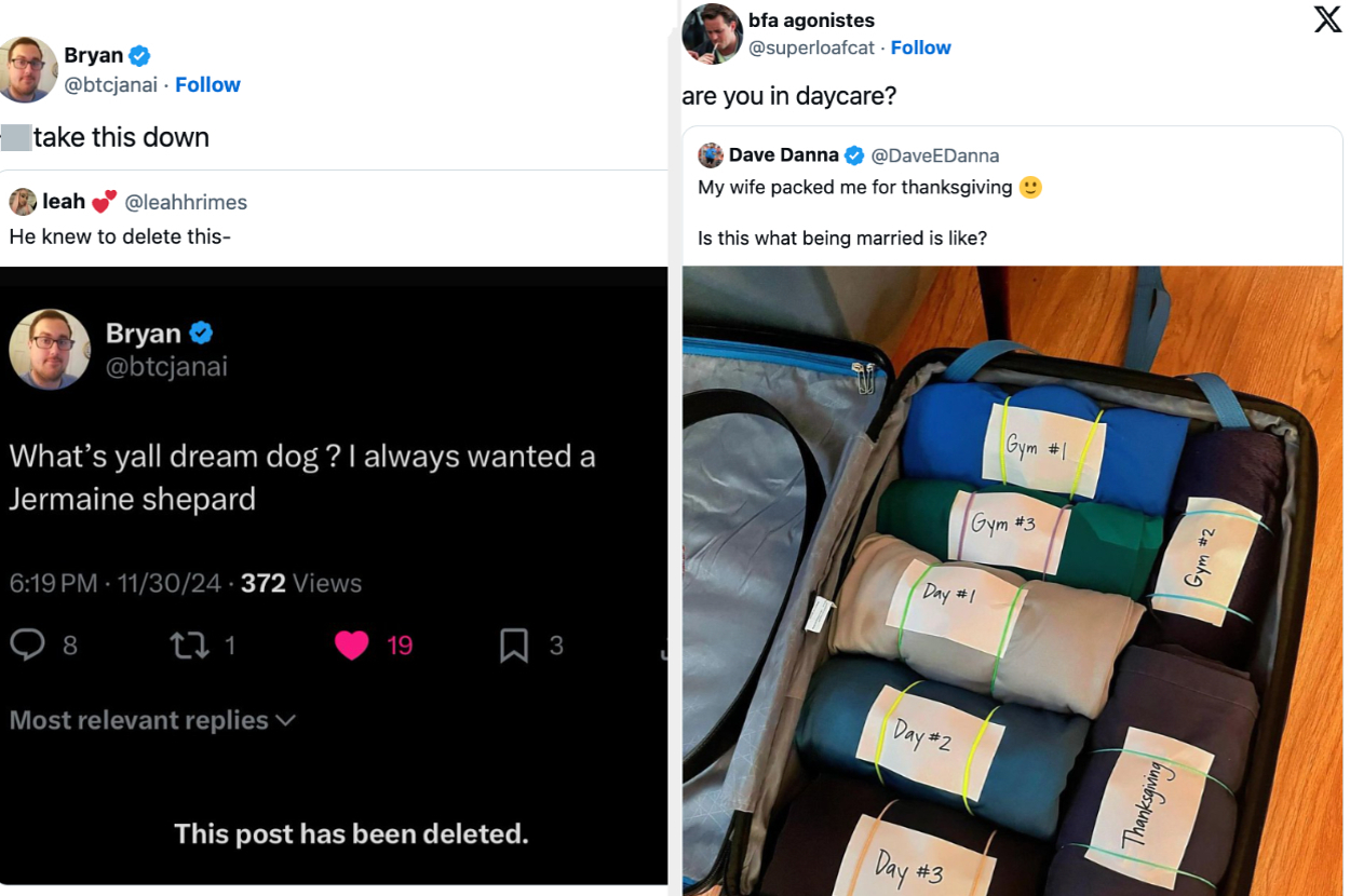 Deleted tweet about a "dream dog" vs a suitcase with labeled outfits