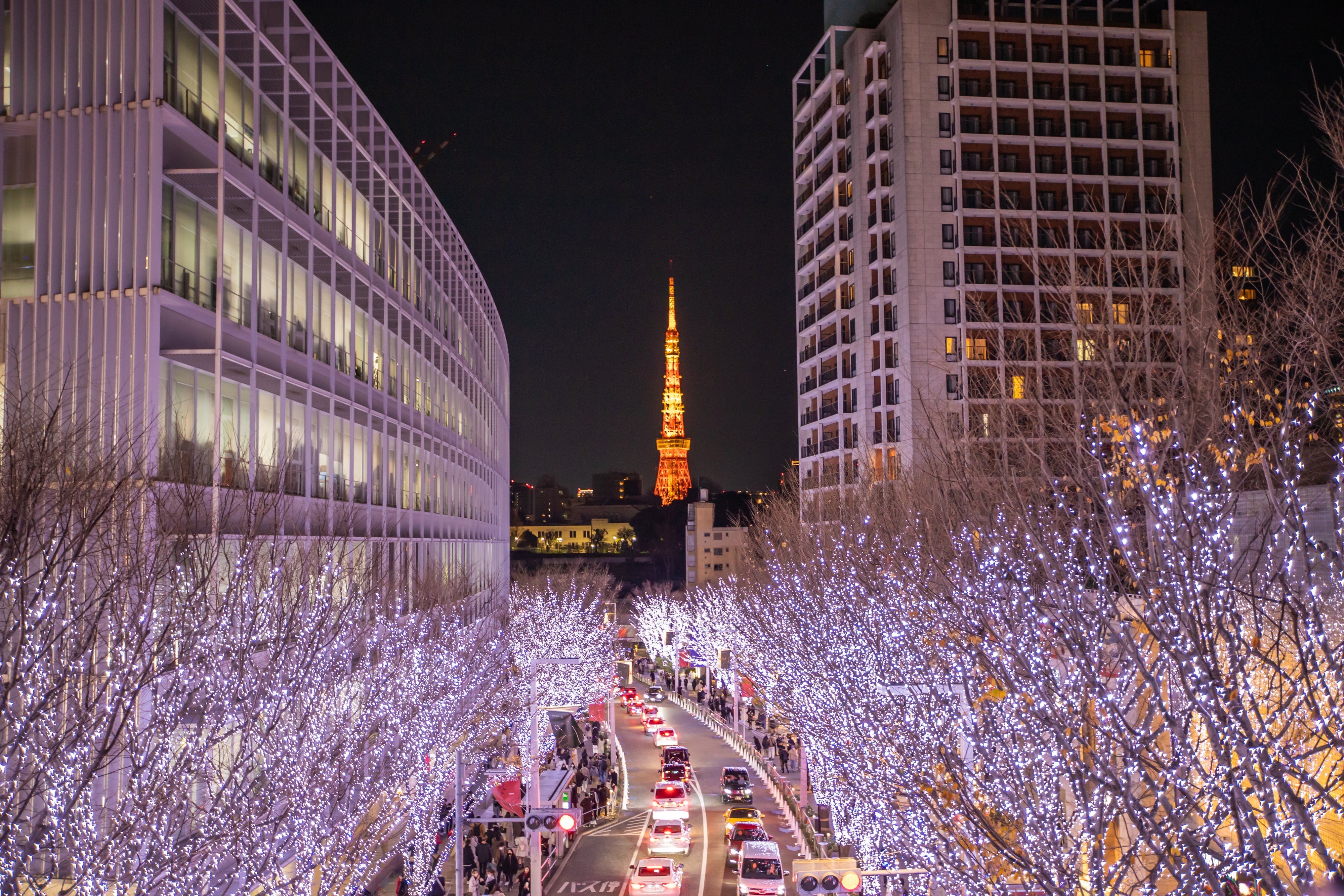 Cold Tokyo 20 Gatekept Winter Destinations Revealed By Travelers