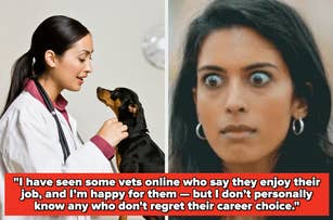 A vet talks to a dog. Next to it, a surprised-looking woman. Caption: “I have seen some vets online who say they enjoy their job… regret their career choice.”