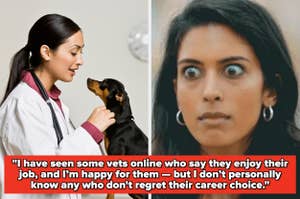 A vet talks to a dog. Next to it, a surprised-looking woman. Caption: “I have seen some vets online who say they enjoy their job… regret their career choice.”