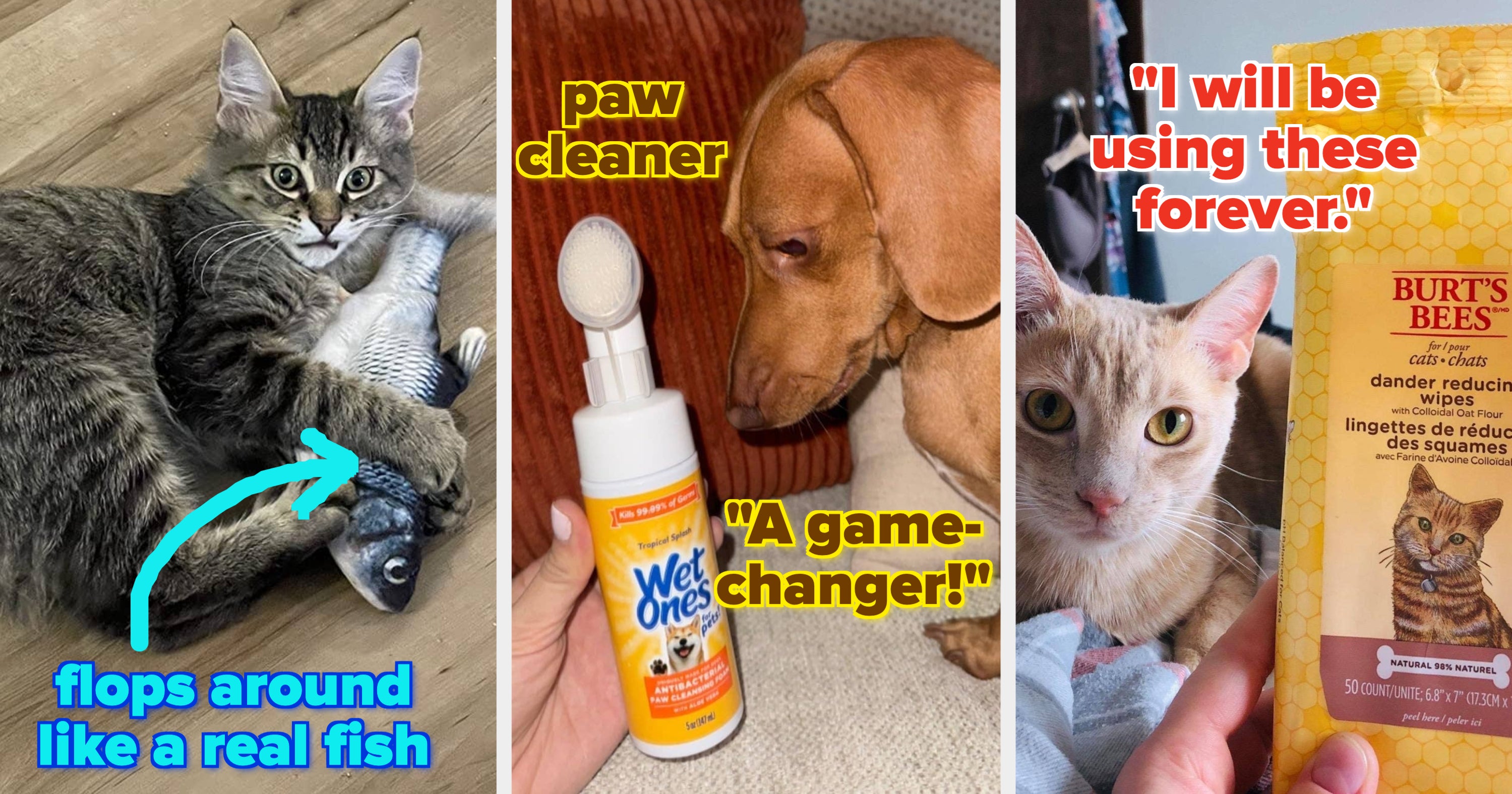37 Amazon Pet Products Our Readers Loved In 2024