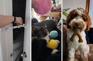 Three-panel image: left shows a hand opening a childproof door; middle shows a cat with pom-pom toys; right shows a dog holding a bone-shaped toy