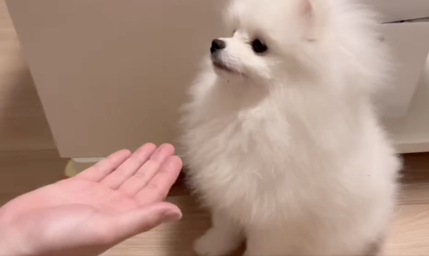 sub-buzz-448-1734072309-1.png?