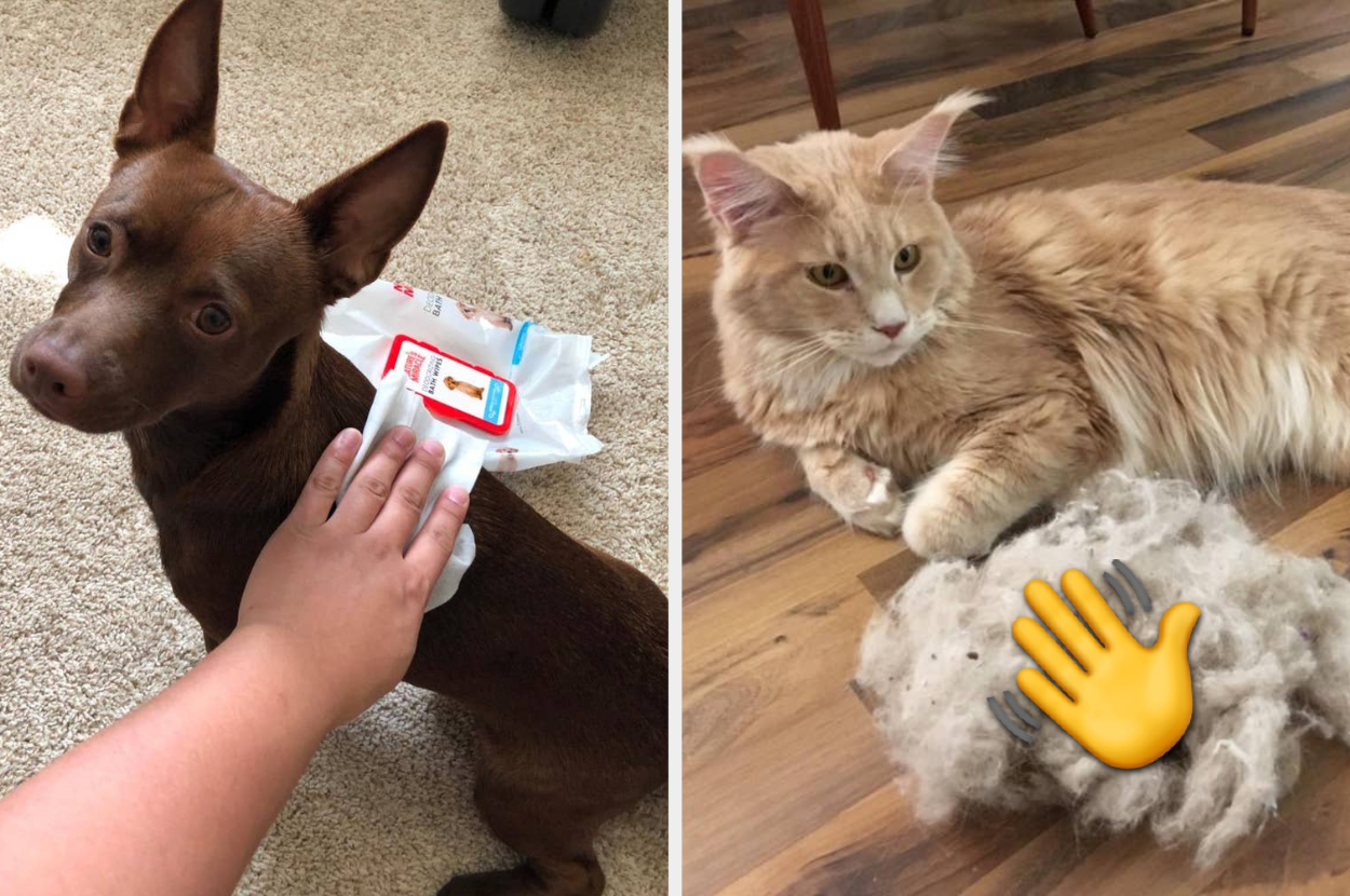 Dog being wiped with pet cleaning wipes; cat next to fur pile with an emoji, suggesting grooming or shedding solutions
