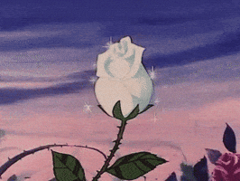 Rosa blanca animada brillando con destellos contra un fondo de cielo al atardecer