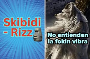 Texto: "Skibid Rizz" y "No entiendes la fokin vibra" junto a la imagen de una escultura y un lobo