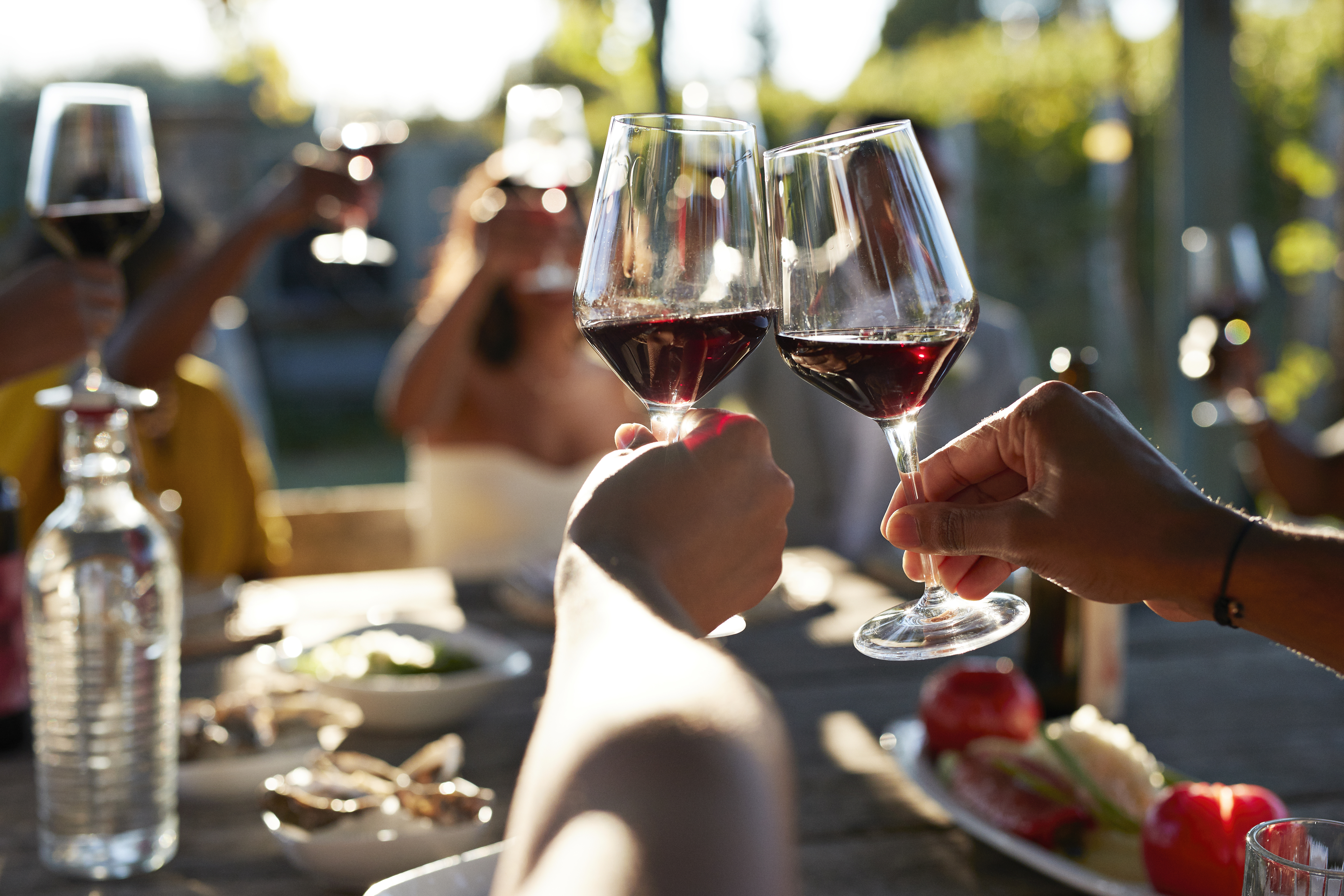 People clinking red wine glasses over a table set with food, celebrating at an outdoor gathering