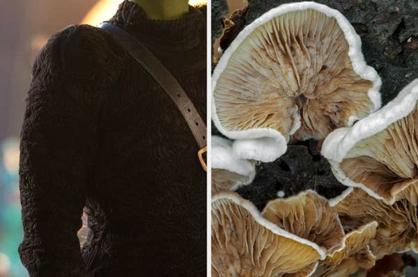 Close-up of textured dark clothing next to a close-up of fungi with ruffled edges