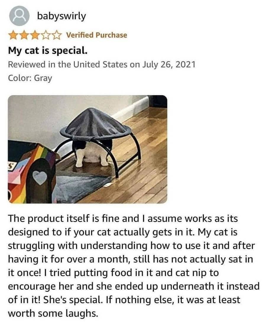 funny amazon vibrator review Hilarious Amazon Review: The Ultimate Vibrator Experience! main image 0