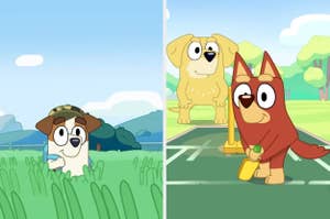 Two cartoon dogs: one in a field wearing a hat, the other in a park holding a cricket bat with a larger dog in the background