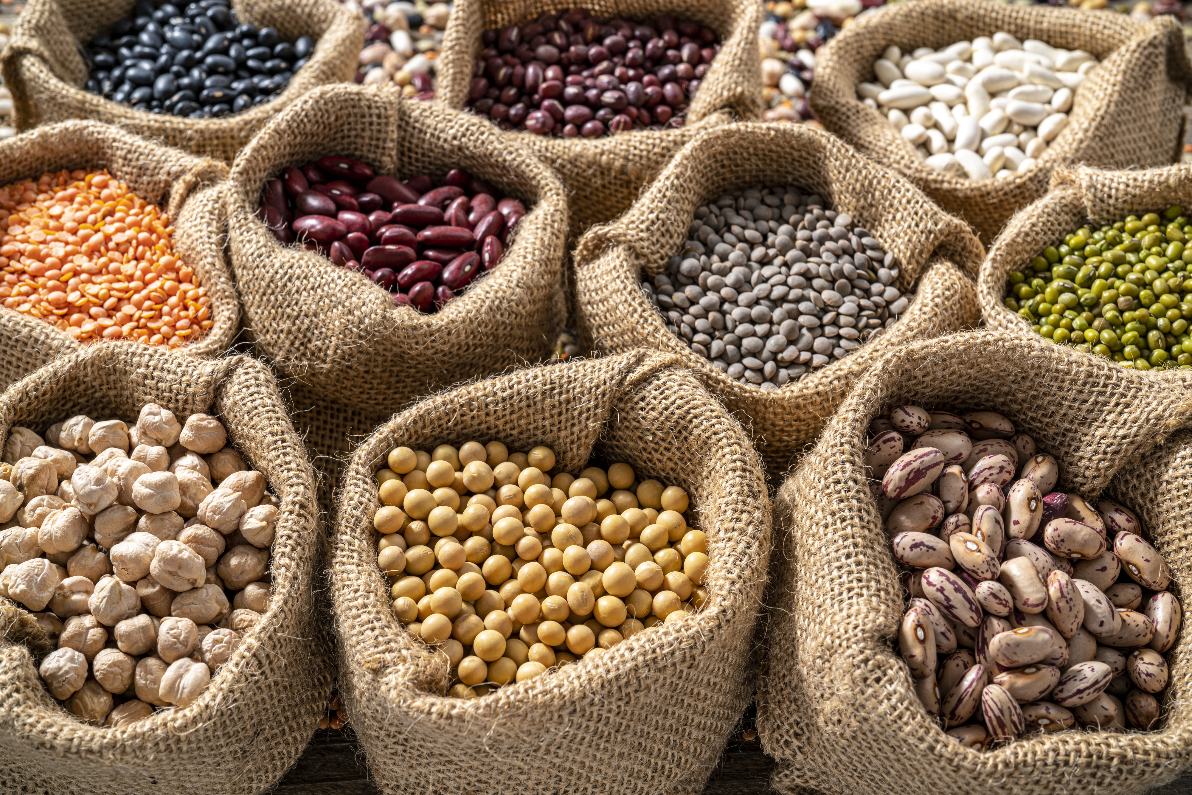 Various beans, lentils, and seeds are displayed in burlap sacks, showing a variety of shapes and sizes.