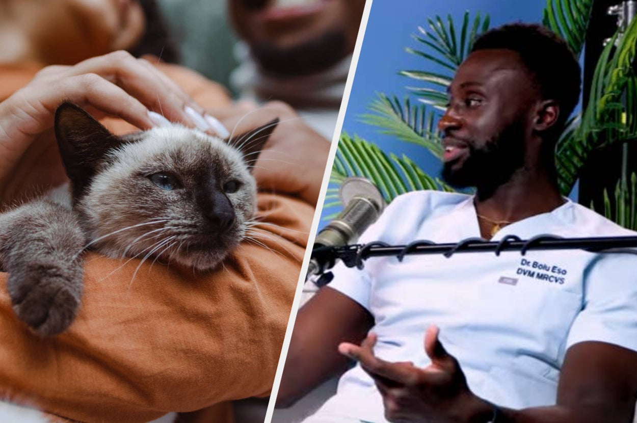 Person in a white shirt speaking into a microphone; another person holds a relaxed cat