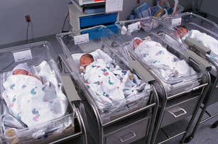 Four newborns sleeping in hospital cribs, each wrapped in patterned blankets, in a maternity ward