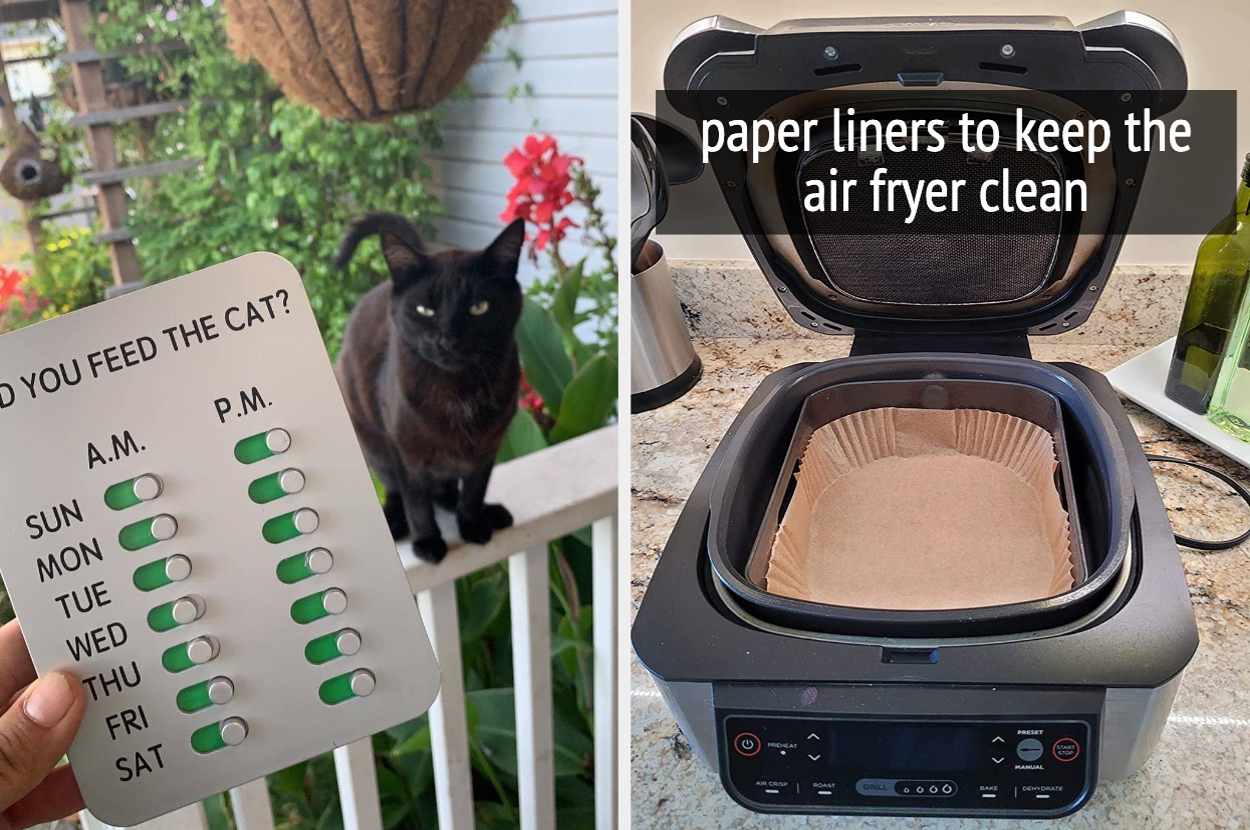 Left: Cat with a feeding schedule checklist. Right: Open air fryer with paper liner for easy cleaning