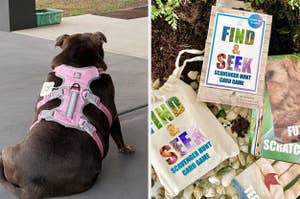 Dog wearing a harness sits outside; scavenger hunt card game with canvas pouch is displayed on the right