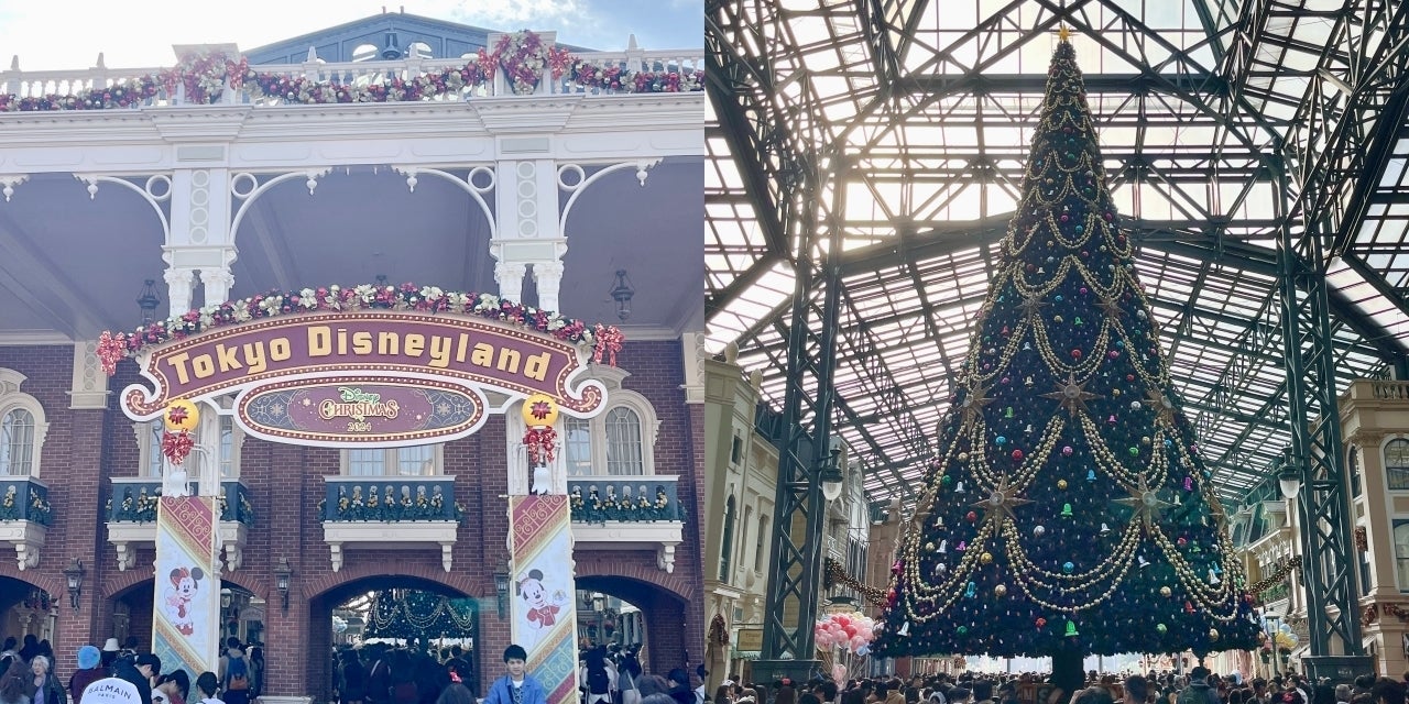 コレはずるいよ…！ディズニーランドで見つけた「フワモコぬいぐるみ