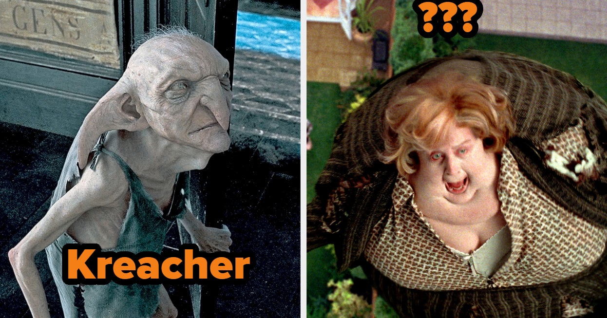 Can You Name Every Harry Potter Character?