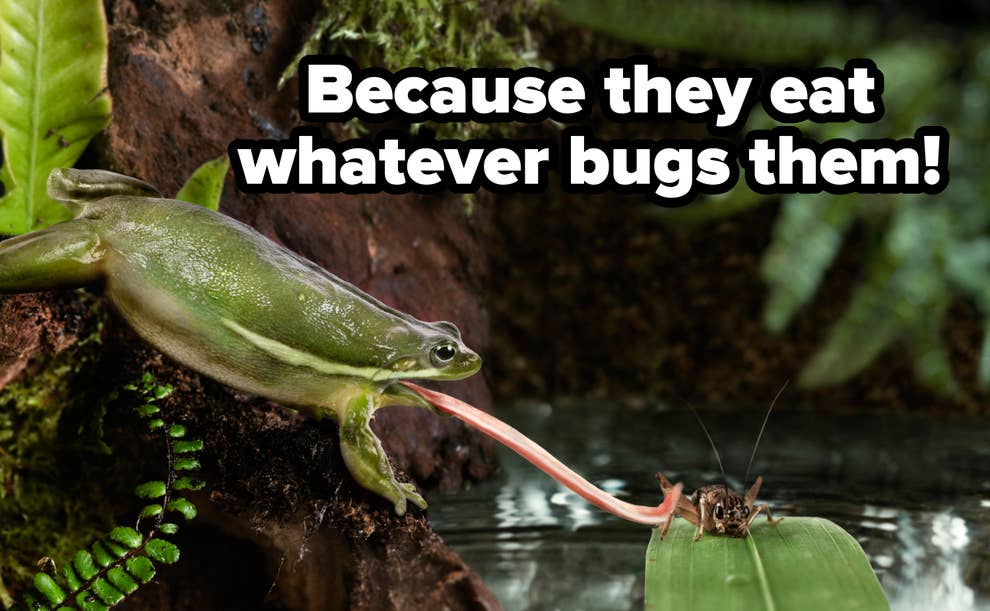 95 Funny Riddles With Answers For A Good Chuckle