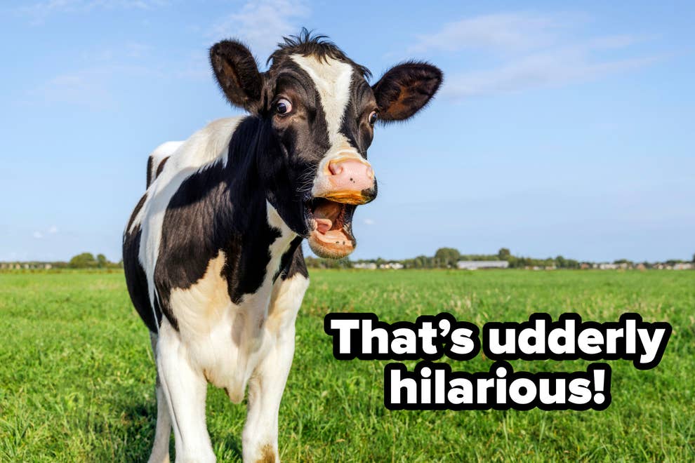 95 Funny Riddles With Answers For A Good Chuckle