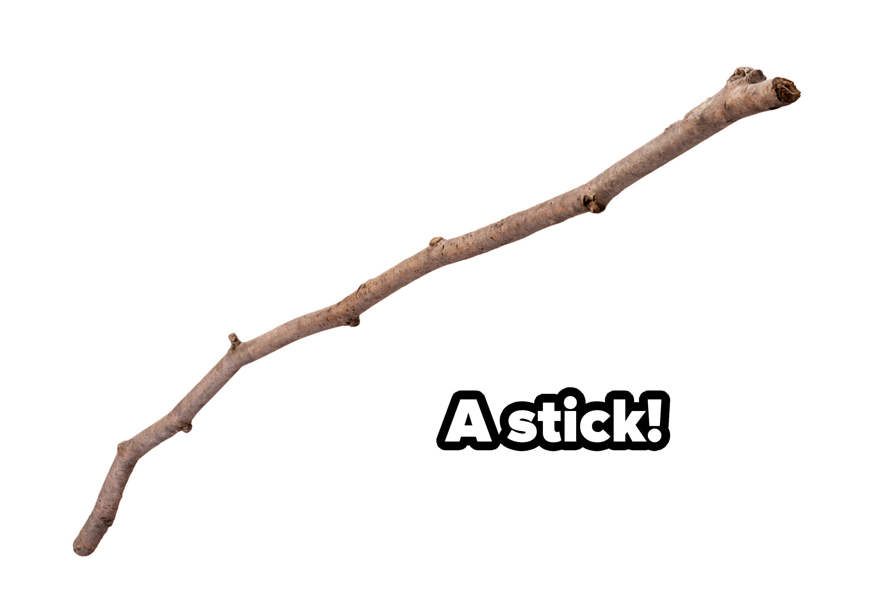 A single tree branch with a few small knots, isolated on a plain background