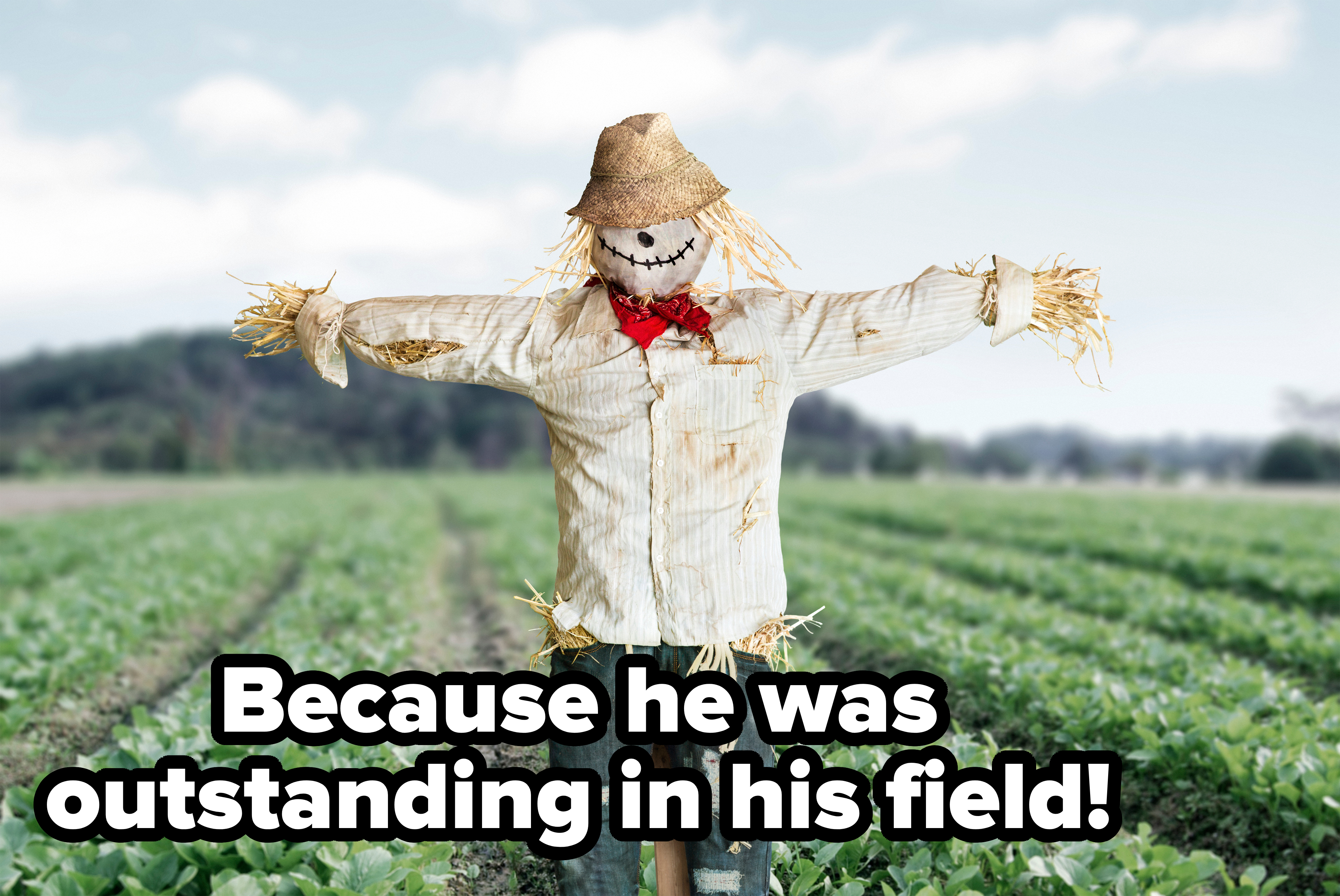 A scarecrow with a straw hat and tattered clothes stands in a lush green field with outstretched arms