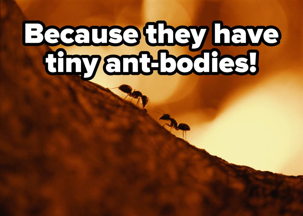 95 Funny Riddles With Answers For A Good Chuckle