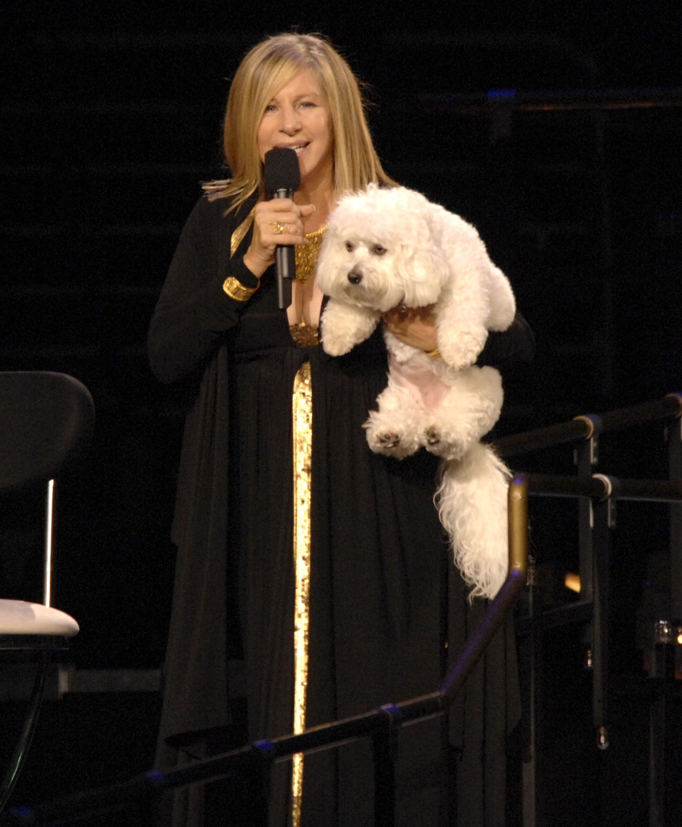24 Bizarre Celeb Facts That Sound Fake, But Are 100% True 30 Person in elegant black attire holding a fluffy white dog on stage, speaking into a microphone