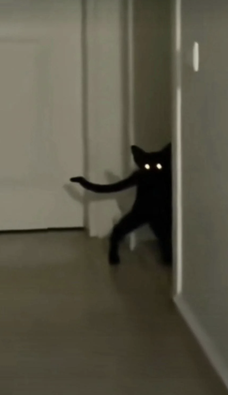 A black cat with glowing eyes peeks playfully around the corner of a hall, appearing to stand on two legs