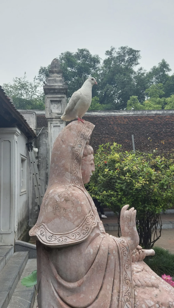 A pigeon perched on the head of a stone statue, set in a garden with trees and traditional buildings in the background