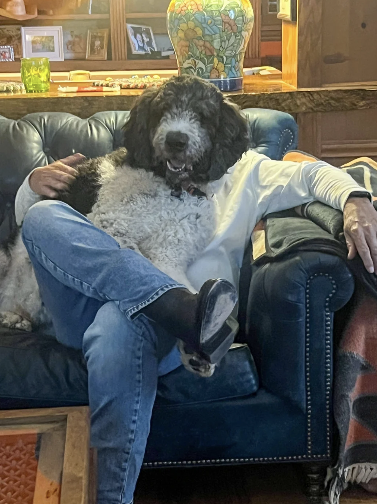 Person sitting on a sofa, smiling, with a fluffy dog on their lap, in a cozy living room setting