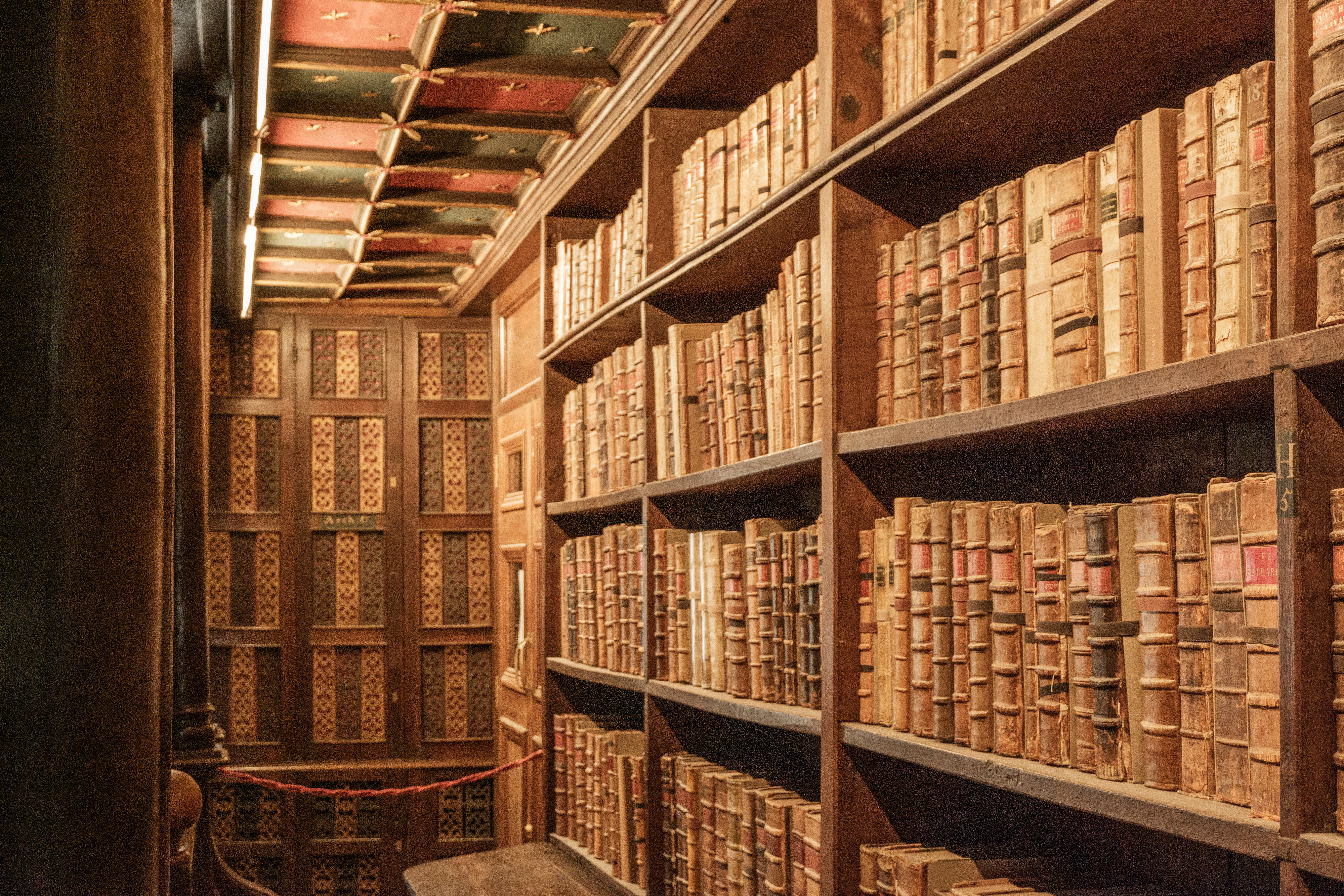 Library interior with tall wooden bookshelves filled with old, leather-bound books. Ceiling features ornate patterns. Quiet, historic atmosphere