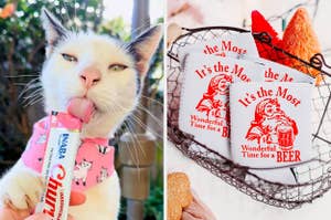 A cat licks a churu treat / some coozies that say "it's the most wonderful time for a beer"