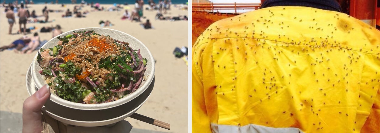 Left: Person holding a bowl of salad at a beach. Right: Worker wearing a yellow high-visibility shirt covered in flies