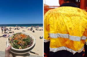 Left: Person holding a bowl of salad at a beach. Right: Worker wearing a yellow high-visibility shirt covered in flies
