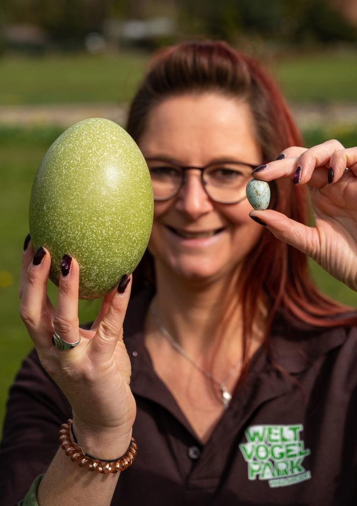 Person holding a large green egg in one hand and a small blue egg in the other, smiling