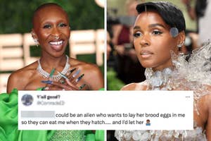 Two celebrities on the red carpet; one with a shaved head and sparkling jewelry, the other in a unique, textured gown. Text below is a humorous tweet