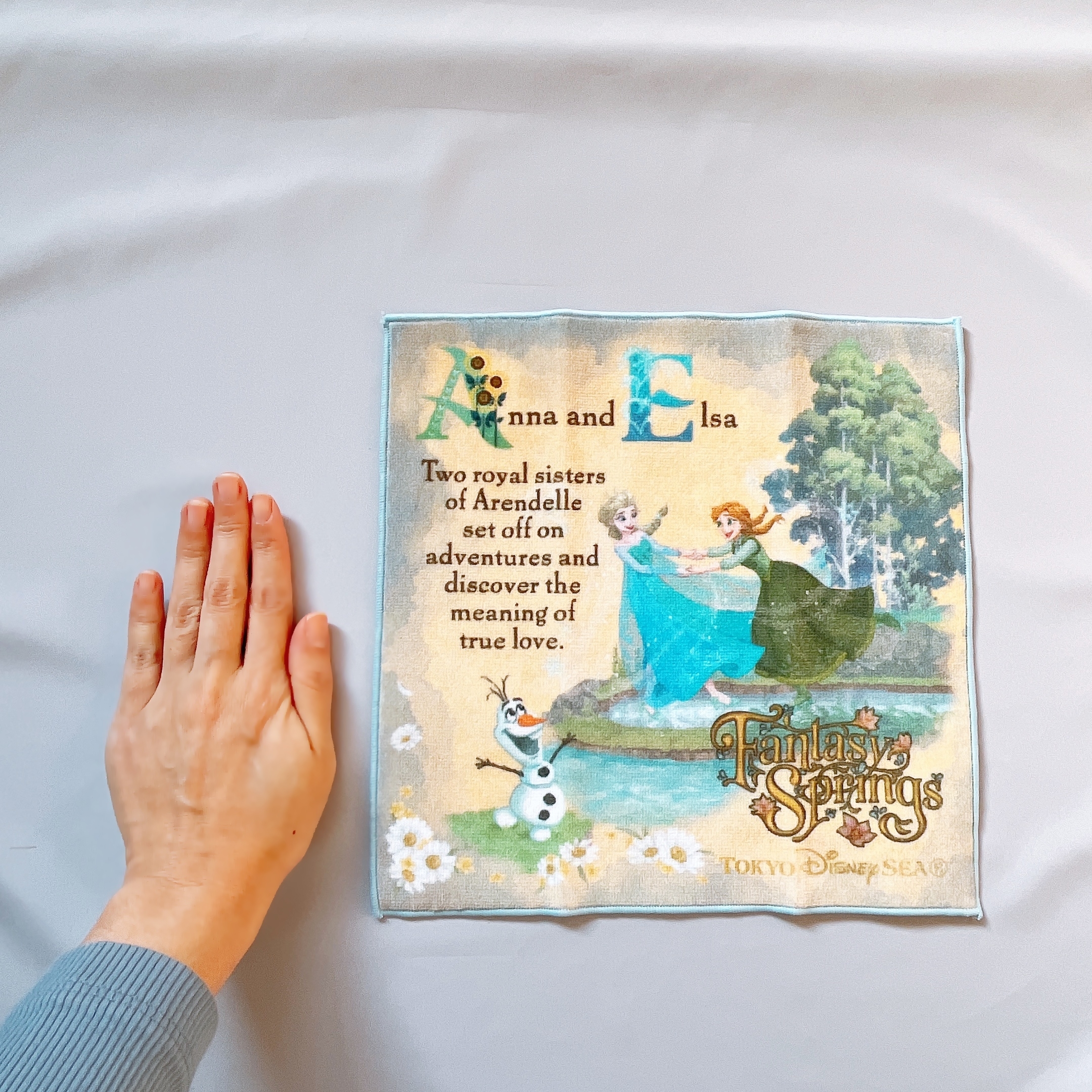 家のハンカチ、全部これにしたい！ディズニーシーで見つけた「絵本