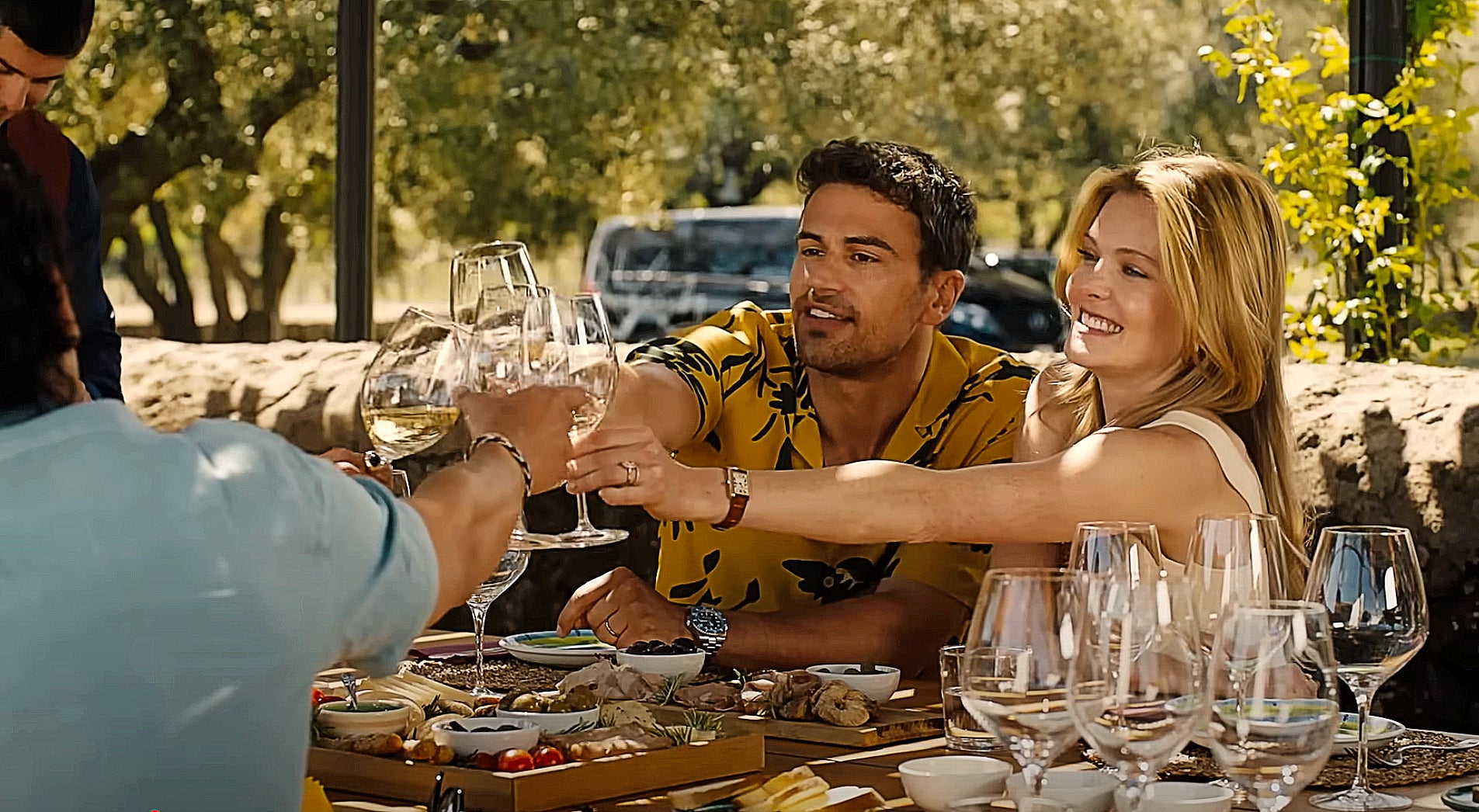 Group of friends toasting with wine glasses at an outdoor lunch table
