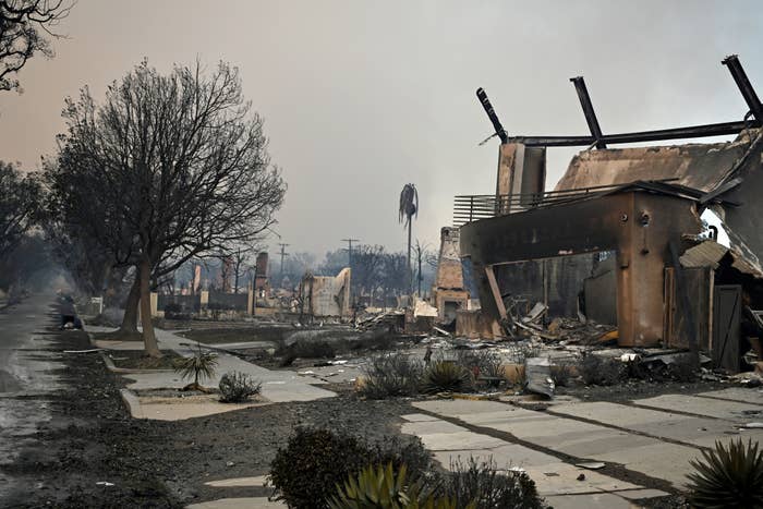 Burned and destroyed buildings with charred trees and debris along an empty street after a wildfire