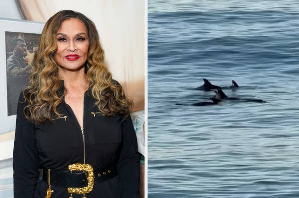 Left: Person in elegant black outfit with gold belt. Right: Dolphins swimming in the ocean